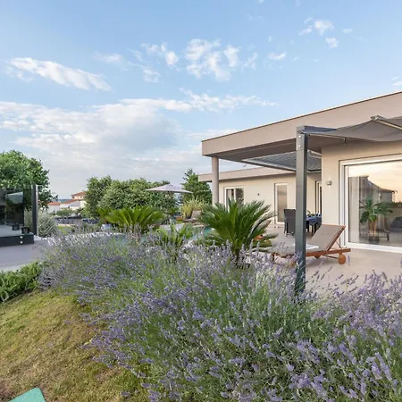 Serena Holiday home *
